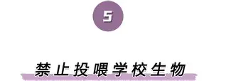 离谱！风云突变山东泰山今晨手感冰凉冲刺阶段尼斯备战意大利杯，摩纳哥主帅复盘备战足总杯的简单介绍